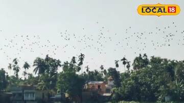 ইসলামপুরের