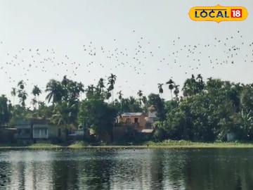 ইসলামপুরের