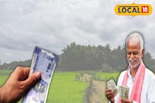 Money Making Agriculture: খরচ কম, পদ্ধতিও সহজ! কৃষিক্ষেত্রে দুর্দান্ত রোজগার এনে দিতে পারে ৩ ফসল, ঘরে ঘরে চাহিদাও ব্যাপক