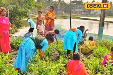 ম্যানগ্রোভের বীজেই আয়ের দিশা! উপার্জনের নয়া পথ খুঁজে পেলেন সুন্দরবনের মহিলারা