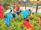 ম্যানগ্রোভের বীজেই আয়ের দিশা! উপার্জনের নয়া পথ খুঁজে পেলেন সুন্দরবনের মহিলারা