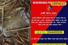 মুর্শিদাবাদের আনাচ কানাচ থেকে বিপুল তাজা বোমার সন্ধান