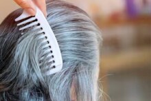 White Hair Natural Remedy: কাঁড়ি কাঁড়ি টাকায় হেয়ার কালার-কলপ কেনা বন্ধ করুন! মেথি আর কালোজিরাতেই ধবধবে সাদা চুল হবে মিশমিশে কালো!