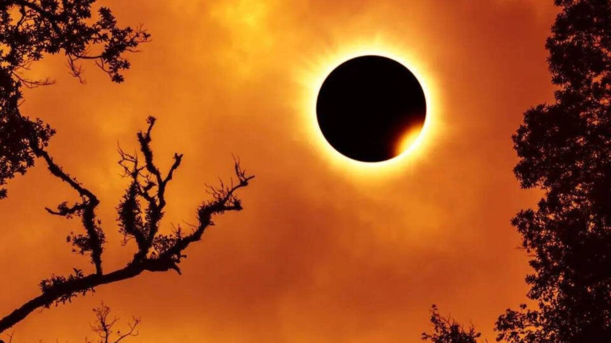 Longest Total Solar Eclipse: দিনেই নামবে গভীর রাত! ৬ মিনিটের বেশি সময় ধরে পুরো পৃথিবীর অন্ধকার! আসছে শতাব্দীর দীর্ঘতম পূর্ণগ্রাস সূর্যগ্রহণ! ভারতে দেখা যাবে কিনা জানুন