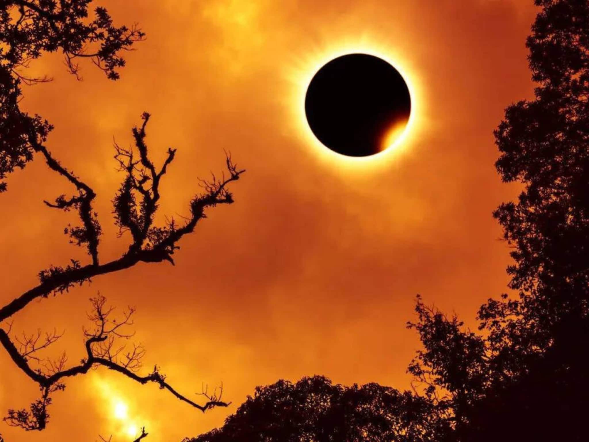 Longest Total Solar Eclipse: দিনেই নামবে গভীর রাত! ৬ মিনিটের বেশি সময় ধরে পুরো পৃথিবীর অন্ধকার! আসছে শতাব্দীর দীর্ঘতম পূর্ণগ্রাস সূর্যগ্রহণ! ভারতে দেখা যাবে কিনা জানুন