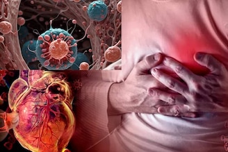 সকালে উষ্ণ জলে জাস্ট ১ চামচ দানা! কাছে আসবে না হৃদরোগ আর ক্যানসার! ওজন কমবে চটজলদি