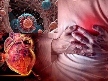 সকালে উষ্ণ জলে জাস্ট ১ চামচ দানা! কাছে আসবে না হৃদরোগ আর ক্যানসার! ওজন কমবে চটজলদি