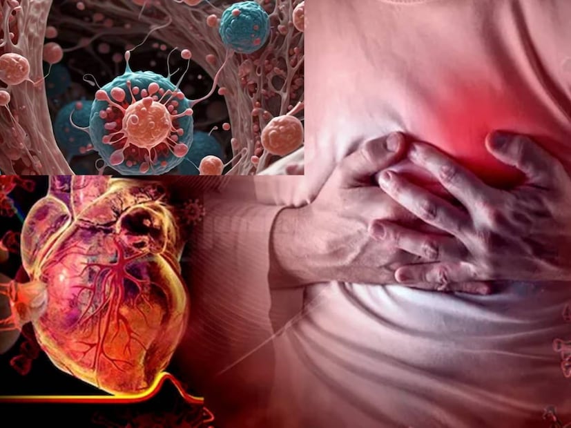 আজকাল, সবাই সুস্থ ও ফিট থাকতে চায়। মানুষ তাদের স্বাস্থ্যের যত্ন নেওয়ার জন্য বিভিন্ন প্রতিকার গ্রহণ করে। তবে, যদি আপনি প্রতিদিন সকালে খালি পেটে তিসির বীজ খান, তাহলে এটি আপনার শরীরের জন্য কোনও ওষুধের চেয়ে কম নয়। তিসির বীজে অনেক পুষ্টি থাকে যা শরীরকে ভেতর থেকে শক্তিশালী করে এবং অনেক রোগ থেকে রক্ষা করে। বলছেন পুষ্টিবিদ মনপ্রীত কালরা।