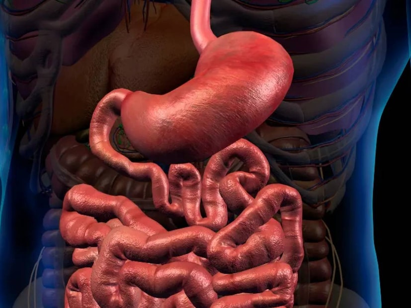 পেটের আলসার নিয়ন্ত্রণে ডায়েটের পাশাপাশি নিয়ন্ত্রণ করুন মানসিক চাপ৷ সুষম ছোট ছোট আহারে ডায়েট ভাঙুন৷ তাড়াহুড়ো না করে ধীরেসুস্থে খান৷ অ্যালকোহল ধূমপানের অভ্যাস নিয়ন্ত্রণ করুন৷ নিয়মিত শরীরচর্চা করুন৷ যে কোনও লক্ষণই অবহেলা করবেন না৷ স্পেশালাইডজ চিকিৎসা করান৷