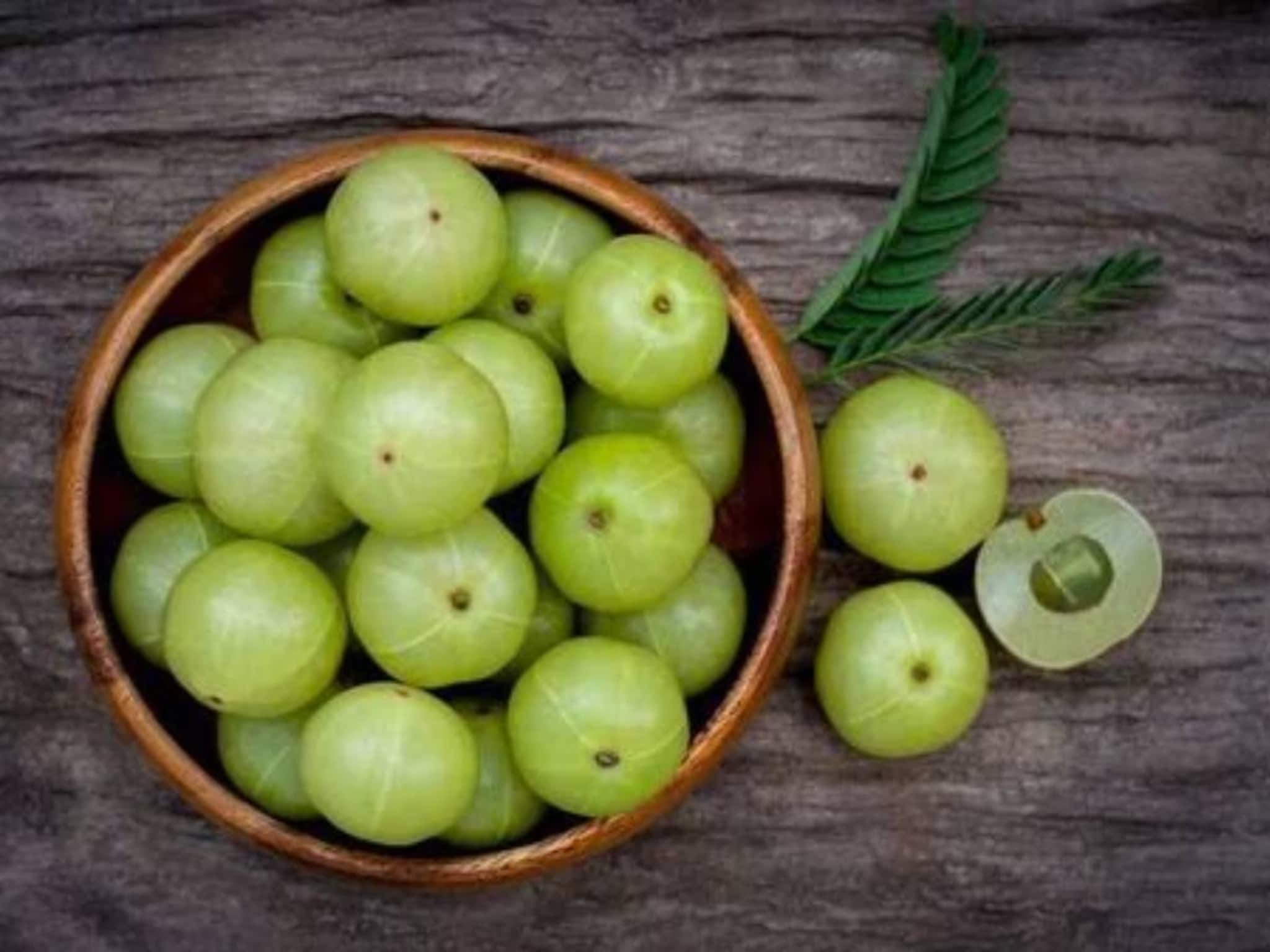 Amla Benefits in Winter: শীতে সুস্থ থাকতে আট থেকে আশি সকলেই রোজ খান সুপারফুড আমলকি! রইল মোরব্বার রেসিপি