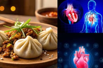 হার্টের দফারফা! রক্তচাপ চরমে! কোষ্ঠকাঠিন্যে বদ্ধ পেট! মোমো খাওয়ার আগে জানুন ক্ষতি