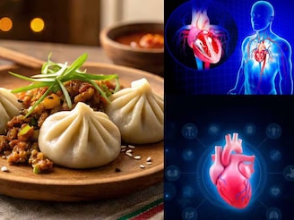 হার্টের দফারফা! রক্তচাপ চরমে! কোষ্ঠকাঠিন্যে বদ্ধ পেট! মোমো খাওয়ার আগে জানুন ক্ষতি