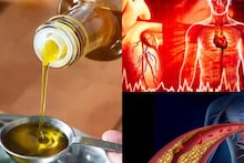 Oil & Heart Attack: সব তেলের সেরা...জানুন কোন তেল রোজ কতটা কীভাবে খেলে হবে না হার্ট অ্যাটাক! রইল চা চামচের ম্যাজিক মাপ!