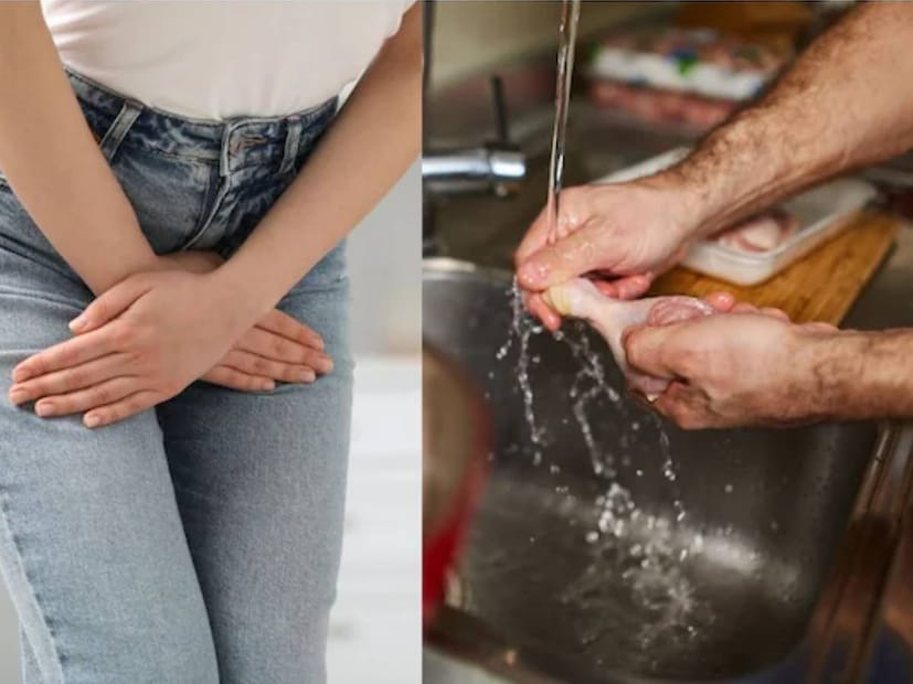 এই গবেষণাটি এমবিওতে প্রকাশিত হয়েছে। জর্জ ওয়াশিংটন বিশ্ববিদ্যালয়ের একজন মাইক্রোবায়োলজিস্ট ল্যান্স প্রাইস, যিনি এই গবেষণাটি পরিচালনা করেছিলেন, তার মতে, ইউটিআই দীর্ঘদিন ধরে একটি ব্যক্তিগত স্বাস্থ্য সমস্যা হিসেবে বিবেচিত হয়ে আসছে, তবে আমাদের ফলাফল দেখায় যে এটি একটি খাদ্য নিরাপত্তা সংক্রান্ত সমস্যাও।