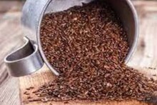 ১ চামচ শণের বীজই শীতের সুপারফুড! কমায় হৃদরোগ, উচ্চ রক্তচাপ! অ্যানিমিয়া, গাঁটের ব্যথার ওষুধ