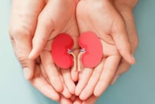 Non-Relative Kidney Donations Rules: রক্তদানের থেকেও জটিল, ভারতে অনাত্মীয়কে কিডনি দানের পদ্ধতি খুবই কঠিন, জেনে নিন বিশদে