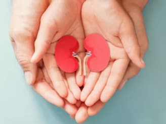 কিডনির সমস্যা চিনতে সাহায্য করতে পারে প্রস্রাব! জেনে নিন ডাক্তারের পরামর্শ