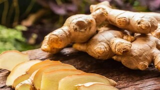 নিয়মিত আদা খাওয়া একটি প্রাকৃতিক প্রতিরক্ষামূলক ঢাল হিসেবে কাজ করে