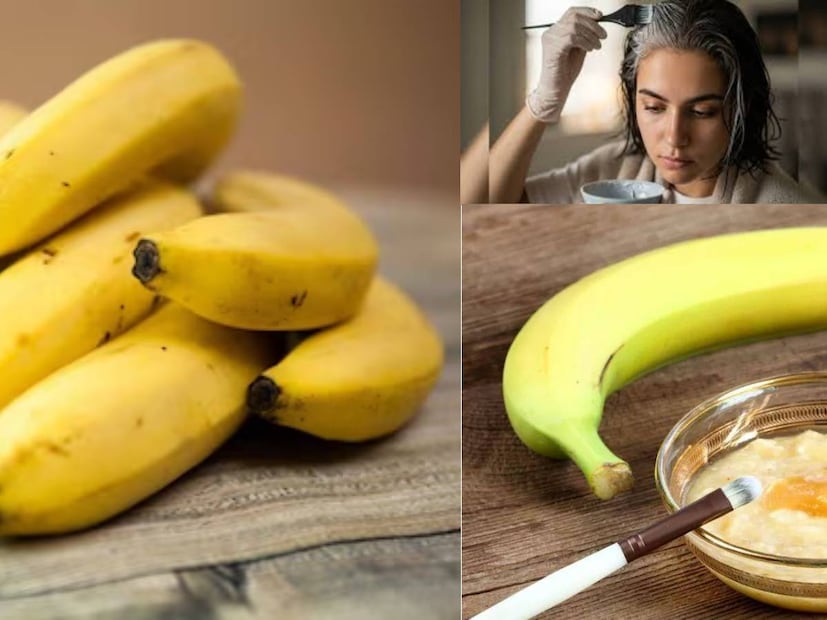 DIY কলার চুলের মাস্ক: প্রতিদিন কলা খাওয়ার অনেক স্বাস্থ্য উপকারিতা রয়েছে। কলা খেলে তাৎক্ষণিক শক্তি পাওয়া যায়। কলা ক্যালসিয়াম সমৃদ্ধ এবং এর আরও অনেক উপকারিতা রয়েছে। অনেকেই দুধের সঙ্গে কলা খান। এছাড়াও, অনেকেই কলার শেক উপভোগ করেন। জানেন কি কলার সঙ্গে মধু মিশিয়ে হেয়ার প্যাক তৈরি করলে চুলের অনেক সমস্যা দূর করা সম্ভব৷