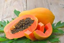 Papaya Side Effects: কিডনি স্টোন, হার্টের রোগ...৫ জনের জন্য পেঁপে চরম বিষাক্ত! মুখে ফেলার আগে দু’বার ভাবুন!