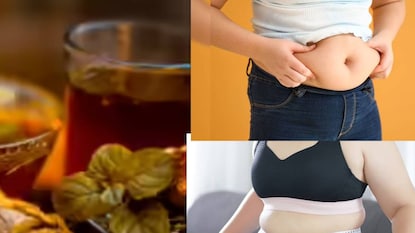 জাদু পানীয়ে গলবে মেদ জাদু পানীয়ে গলবে মেদ