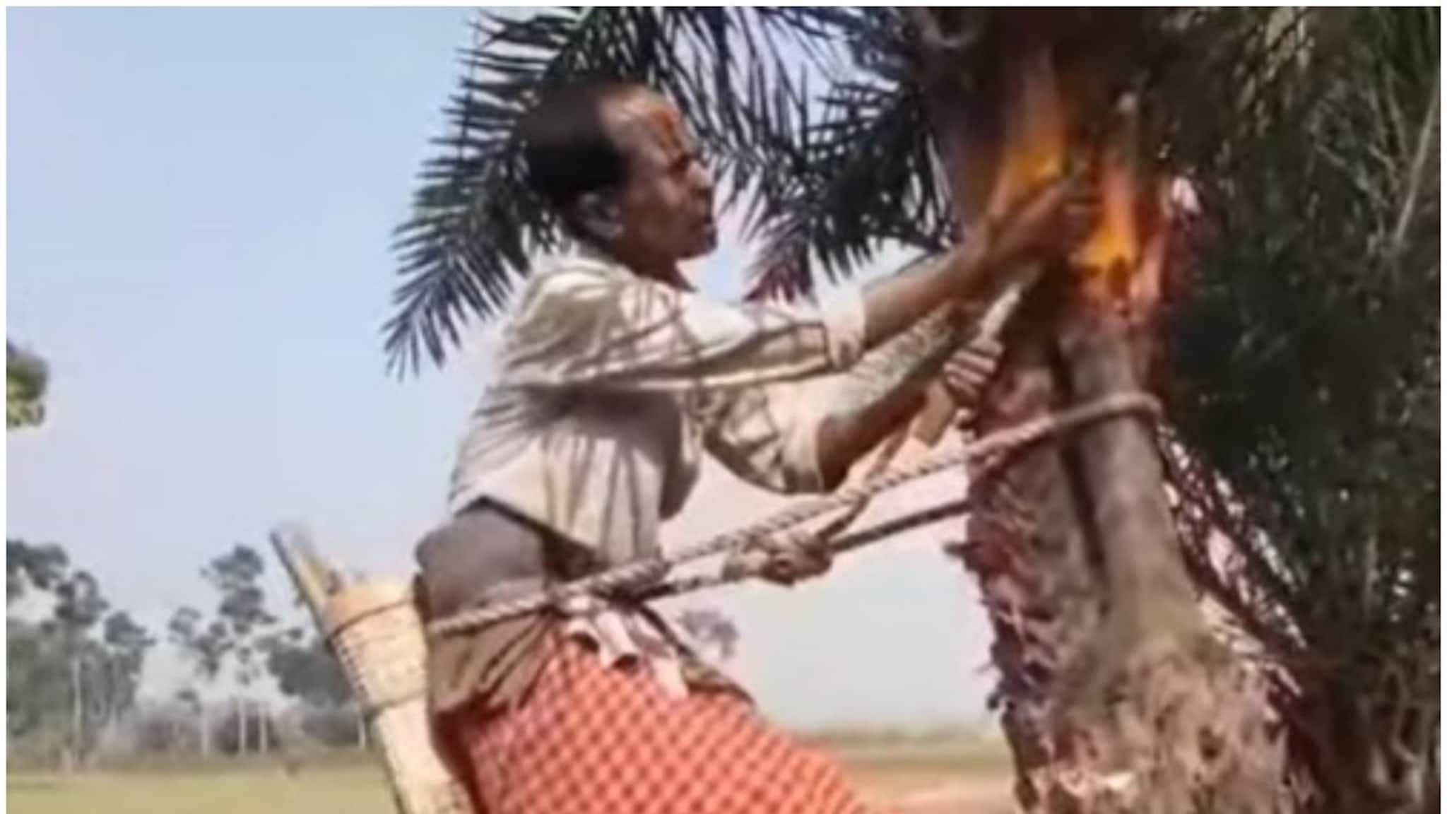 Nadia News: ভবিষ্যতে আর নাও পাওয়া যেতে পারে খাঁটি নলেন গুড়, কারণটা কী?