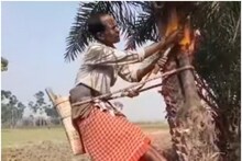 Nadia News: ভবিষ্যতে আর নাও পাওয়া যেতে পারে খাঁটি নলেন গুড়, কারণটা কী?