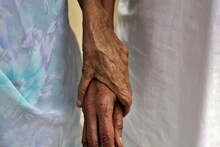 বৃদ্ধ বাবা-মাকে বাড়ি থেকে উচ্ছেদ, জমি হাতানোর অভিযোগ! গুণধর ছেলেকে উচিত শিক্ষা দিল আদালত