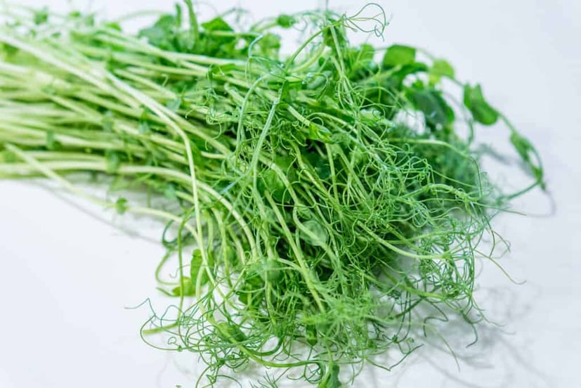 ছোলার বীজের মতো, এই শাকও প্রোটিন, কার্বোহাইড্রেট, ফাইবার, আয়রন, ক্যালসিয়াম এবং ভিটামিন সমৃদ্ধ, যা স্বাদের পাশাপাশি স্বাস্থ্যও বজায় রাখে। সার্বিক স্বাস্থ্যের জন্য এই শাক অত্যন্ত উপকারী।