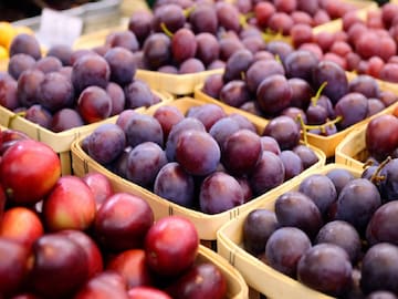 প্লাম বলুন বা আলুবোখরা, সব বাজারেই সহজলভ্য! উপকার শুনলে মাথা ঘুরে যাবে! রইল বিশেষজ্ঞের মত প্লাম বলুন বা আলুবোখরা, সব বাজারেই সহজলভ্য! উপকার শুনলে মাথা ঘুরে যাবে! রইল বিশেষজ্ঞের মত