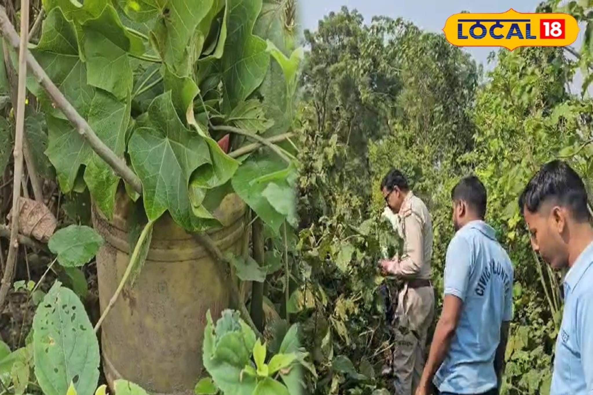 সরষের ক্ষেতে ছড়িয়ে ছিটিয়ে সকেট বোমা! দেখে চক্ষু ছানাবড়া, ছুটল পুলিশ