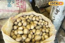 Potato Farming: কম খরচে বেশি ফলন! পঞ্জাবের প্রসিদ্ধ আলু বীজ এখন চন্দ্রকোনার বাজারে, চাষিদের পোয়া বারো