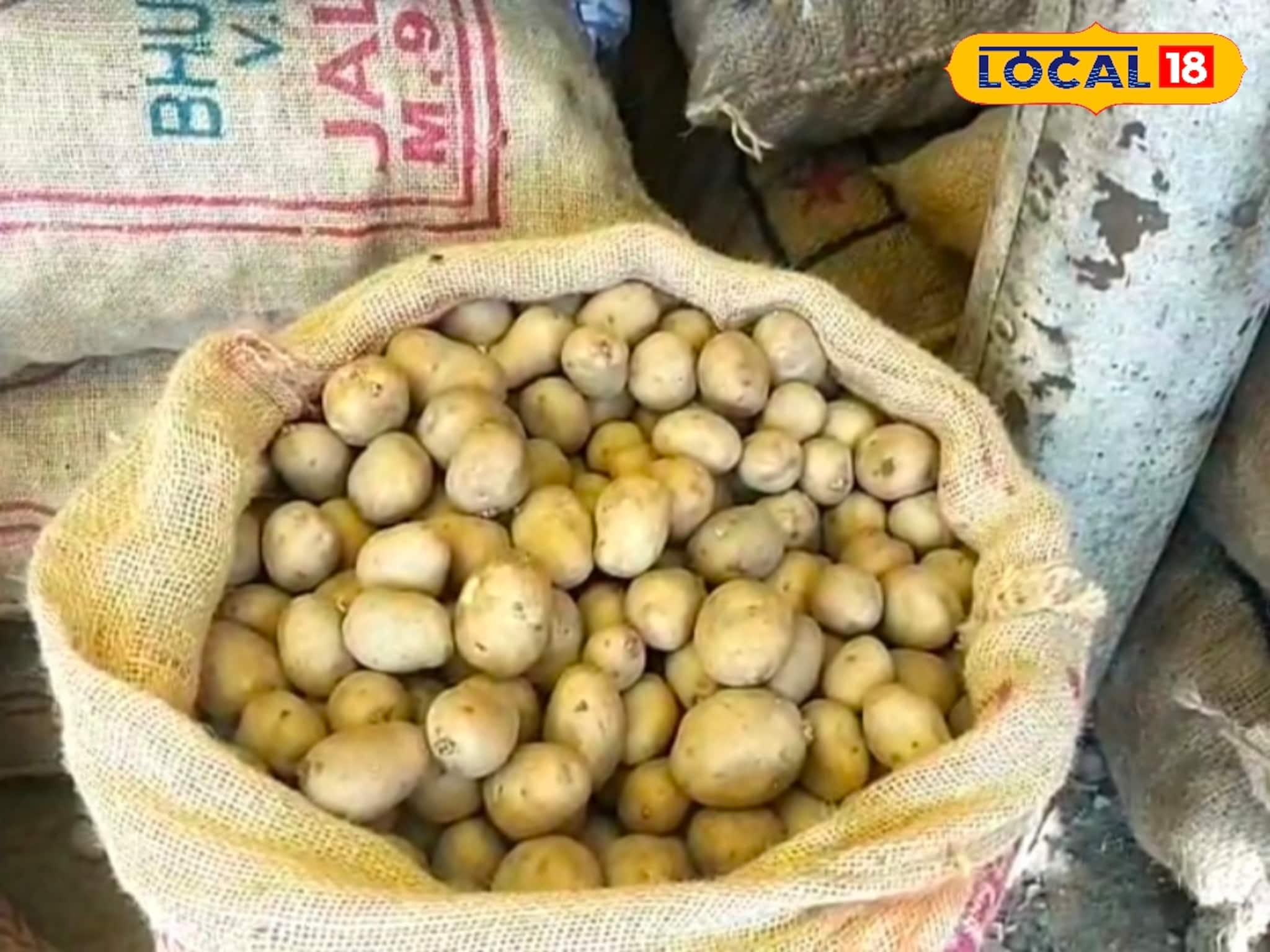 কম খরচে বেশি ফলন! পঞ্জাবের প্রসিদ্ধ আলু বীজ এখন চন্দ্রকোনার বাজারে