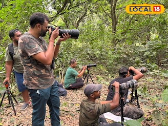 শীত পড়লেই পূর্বস্থলীর চুপি পাখিরালয়ে চিত্রগ্রাহকদের ভিড়, রঙবেরঙের পরিযায়ী পাখির মেলা
