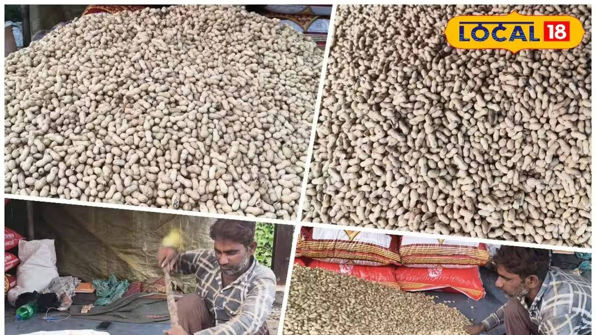 শীত পড়তেই পুরুলিয়ায় ঢেলে বিক্রি হচ্ছে রাজস্থানের বাদাম! কিনতে হলে কোথায় যেতে হবে জানুন