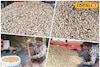 শীত পড়তেই পুরুলিয়ায় ঢেলে বিক্রি হচ্ছে রাজস্থানের বাদাম! কিনতে হলে কোথায় যেতে হবে জানুন