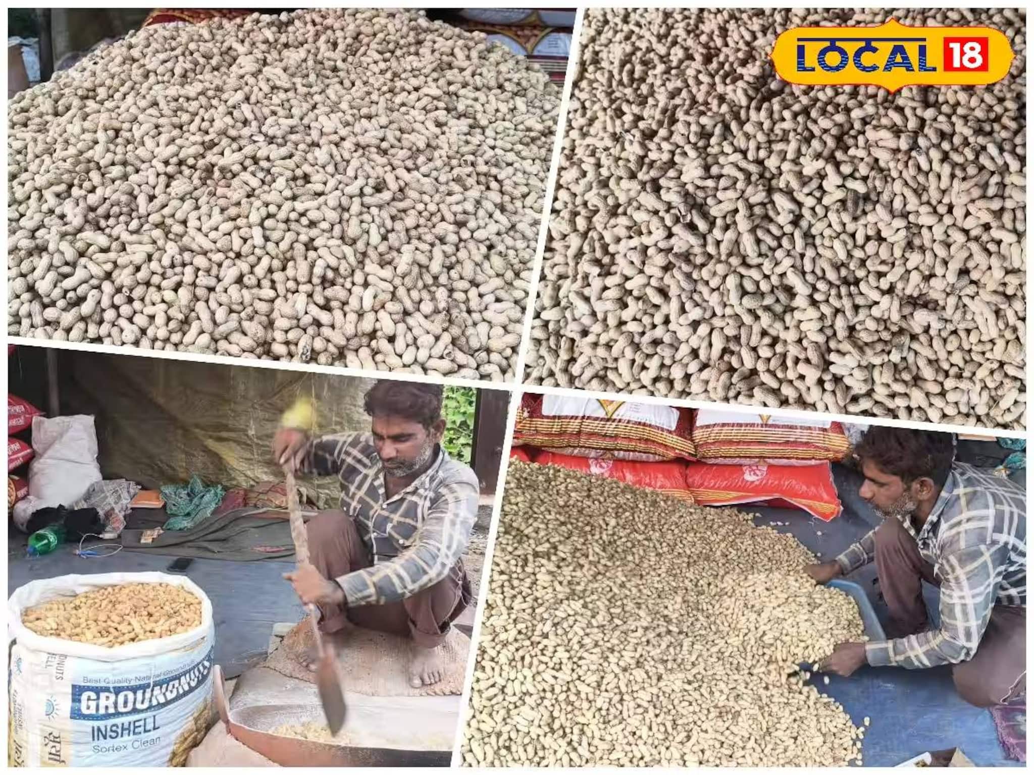 শীত পড়তেই পুরুলিয়ায় ঢেলে বিক্রি হচ্ছে রাজস্থানের বাদাম! কিনতে হলে কোথায় যেতে হবে জানুন