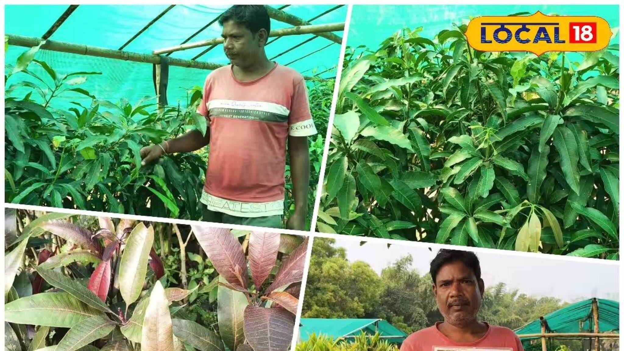 পুরুলিয়াতেই মিলতে পারে দেশি-বিদেশি আম! কৃষিক্ষেত্রে ঝড় তুলতে বড় পদক্ষেপ