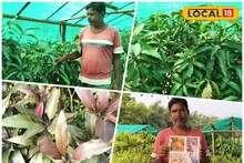 Mango Cultivation: পুরুলিয়াতেই মিলতে পারে দেশি-বিদেশি আম! কৃষিক্ষেত্রে ঝড় তুলতে বড় পদক্ষেপ, সফল হলে ঘুরতে পারে চাষিদের ভাগ্য