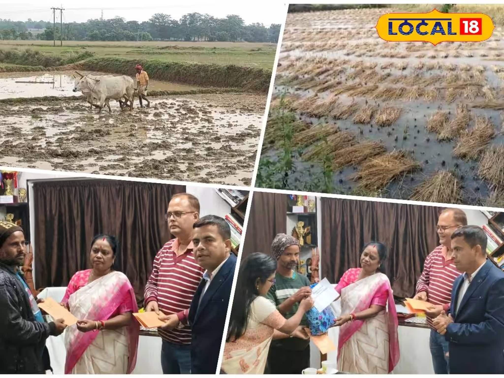 Purulia News: কৃষকদের পাশে রাজ্য সরকার! ধান নষ্ট হওয়ার ক্ষতিপূরণ পেলেন চাষিরা, ক্ষতিগ্রস্তদের হাতে তুলে দেওয়া হল মোটা টাকা