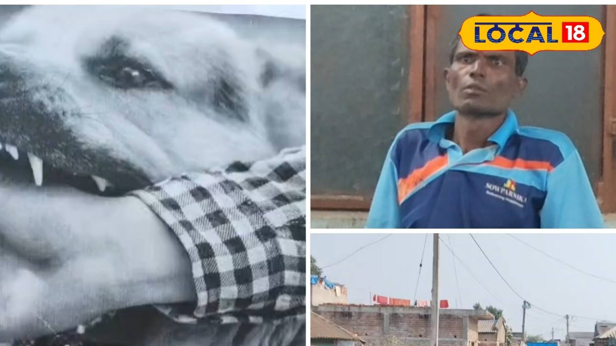 Rabies Death: সচেতনতার অভাব! জলাতঙ্কে ছটফট করে মারা গেলেন পুরুলিয়ার বাসিন্দা, সঠিক সময়ে চিকিৎসা করলে এমন দিন দেখতে হত না