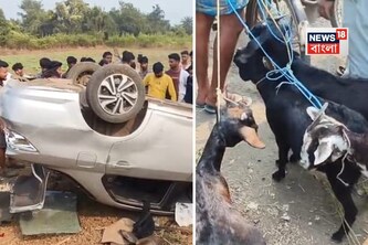 ছাগল চুরি করে পালানোর সময় জনতার তাড়া, উল্টে গেল হোন্ডা সিটি! রানিগঞ্জে তুলকালাম