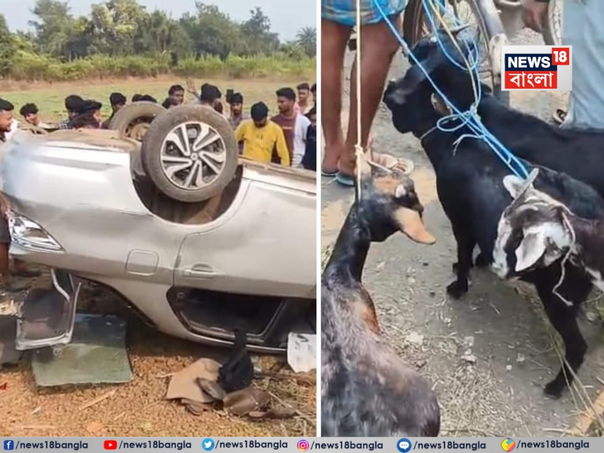 ছাগল চুরি করে পালানোর সময় জনতার তাড়া, উল্টে গেল হোন্ডা সিটি! রানিগঞ্জে তুলকালাম