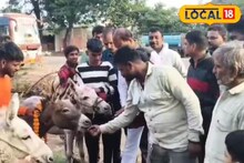 আজব মেলা! বিক্রির আগে গুলাব জামুন খাওয়ানো রেওয়াজ, গাধার নাম শুনলে চমকাবেন গ্যারান্টি!