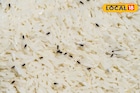 চালে গিজগিজ করছে কালো পোকা, ২-৩ ঘণ্টা ফেলে রাখুন কড়া রোদে, পোকার বংশ হবে নির্বংশ