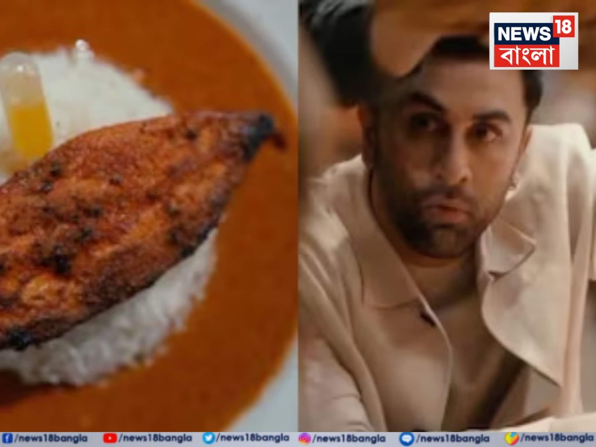 Ranbir Kapoor: রামায়ণের শ্যুটিংয়ে 'সাত্ত্বিক' ডায়েটের বদলে আমিষ খেয়ে সমালোচনার মুখে রণবীর কাপুর