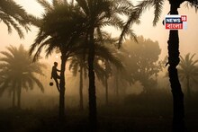 পূবালী হাওয়ার জের, কুয়াশায় ঢাকা পশ্চিমের জেলাগুলি, কেমন থাকবে কলকাতার আবহাওয়া? এল আজকের আপডেট