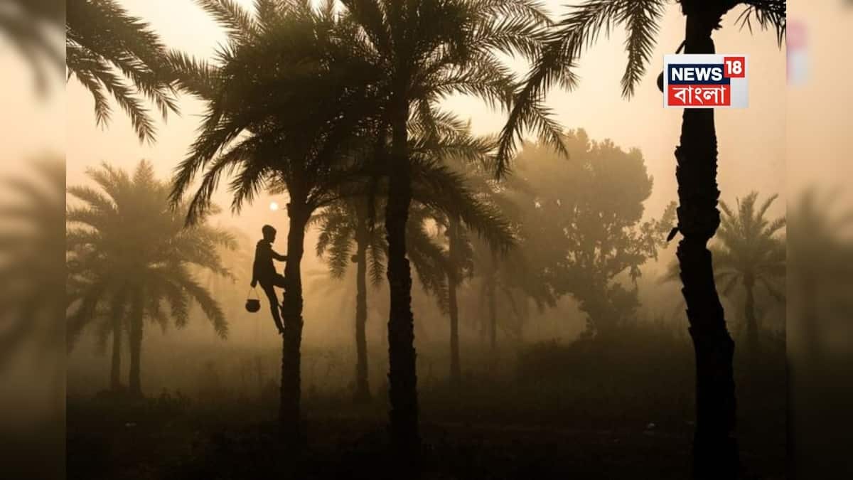 West Bengal Weather Update: পূবালী মৌসুমের কারণে কুয়াশায় ঢাকা পশ্চিমের জেলা, কেমন থাকবে কলকাতার আবহাওয়া? এখানে আজকের আপডেট, বঙ্গোপসাগরে পূর্বদিকের বাতাসের কারণে দক্ষিণবঙ্গের আবহাওয়ার পরিবর্তন, কলকাতা আবহাওয়া অফিস দ্বারা শেয়ার করা সর্বশেষ আবহাওয়ার আপডেটের প্রতিবেদনটি জানুন West Bengal Weather Update: পূবালী মৌসুমের কারণে কুয়াশায় ঢাকা পশ্চিমের জেলা, কেমন থাকবে কলকাতার আবহাওয়া? এখানে আজকের আপডেট, বঙ্গোপসাগরে পূর্বদিকের বাতাসের কারণে দক্ষিণবঙ্গের আবহাওয়ার পরিবর্তন, কলকাতা আবহাওয়া অফিস দ্বারা শেয়ার করা সর্বশেষ আবহাওয়ার আপডেটের প্রতিবেদনটি জানুন