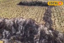 রাতের অন্ধকারে ধানের গাদায় আগুন! পুড়ে ছাই কৃষকের সোনালি ফসল