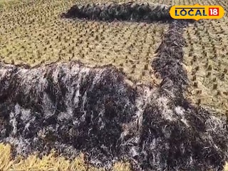 শান্তিপুরে ধান ক্ষেতে আগুন শান্তিপুরে ধান ক্ষেতে আগুন